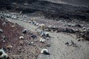 Caldera du Haleakala - Copyright : See Otherwise 2012 - 2024