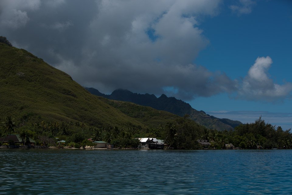 3L9A8491.jpg Iles du vent - Moorea - Copyright : See Otherwise 2012 - 2024