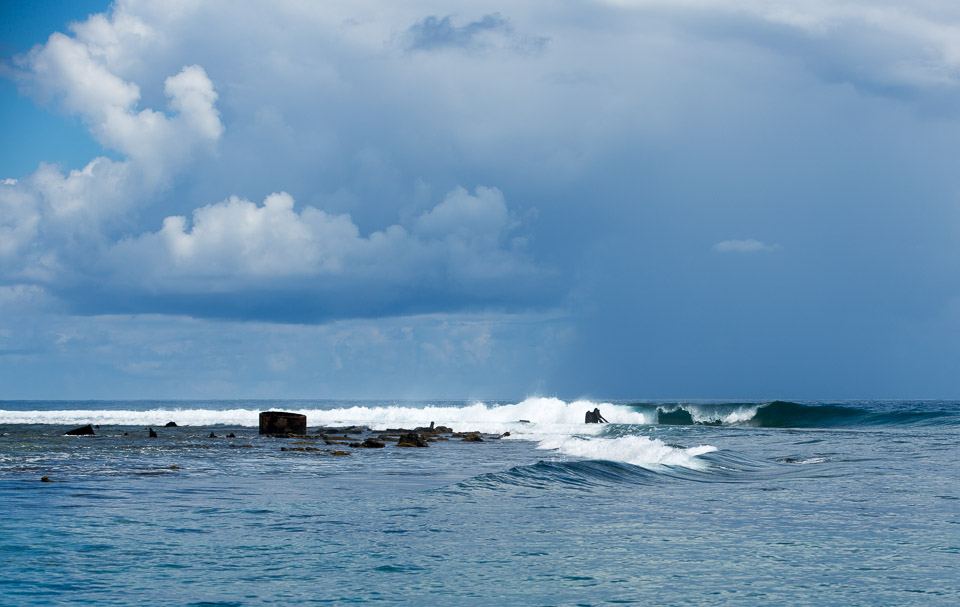 3L9A8507.jpg Iles du vent - Moorea - Copyright : See Otherwise 2012 - 2024