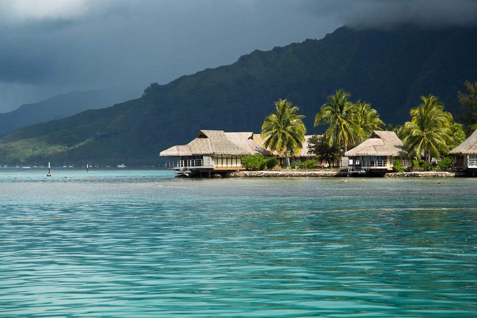 3L9A8613.jpg Iles du vent - Moorea - Copyright : See Otherwise 2012 - 2024