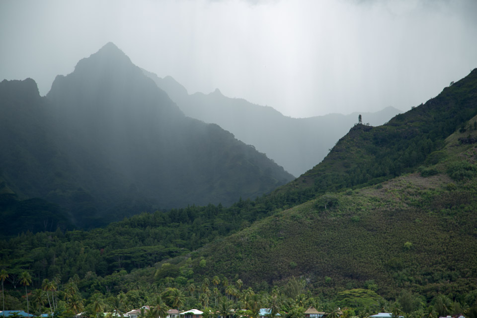 3L9A8626.jpg Iles du vent - Moorea - Copyright : See Otherwise 2012 - 2024