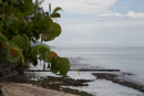 Iles du vent - Tahiti - Copyright : See Otherwise 2012 - 2025