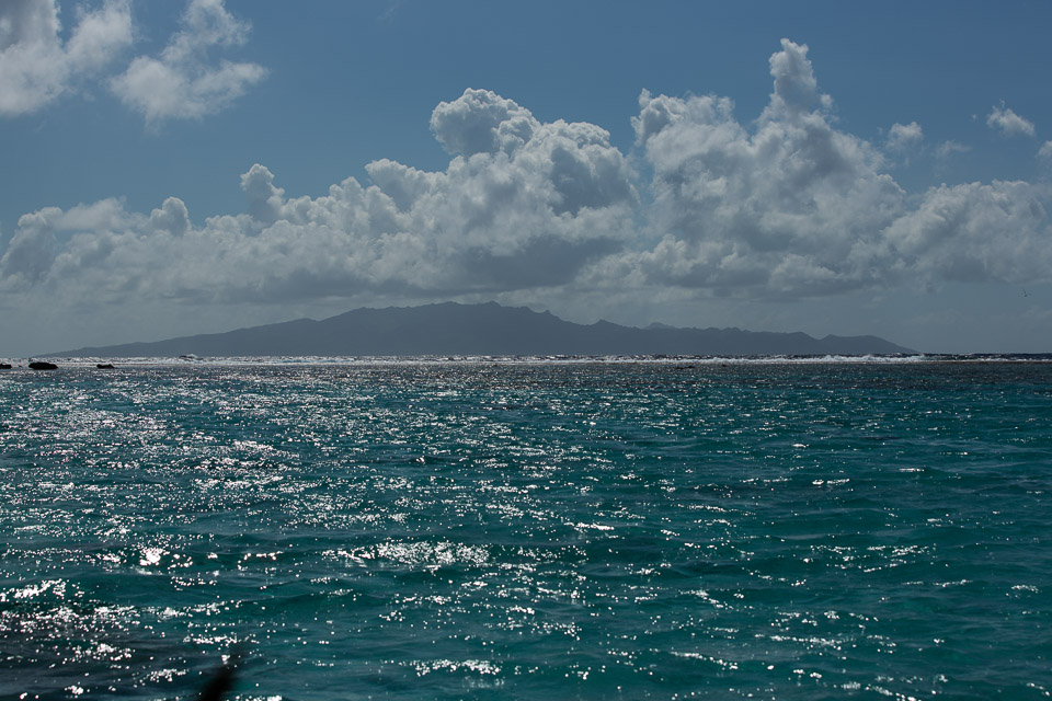 3L9A8083.jpg Iles sous le vent - Bora Bora - Copyright : See Otherwise 2012 - 2024