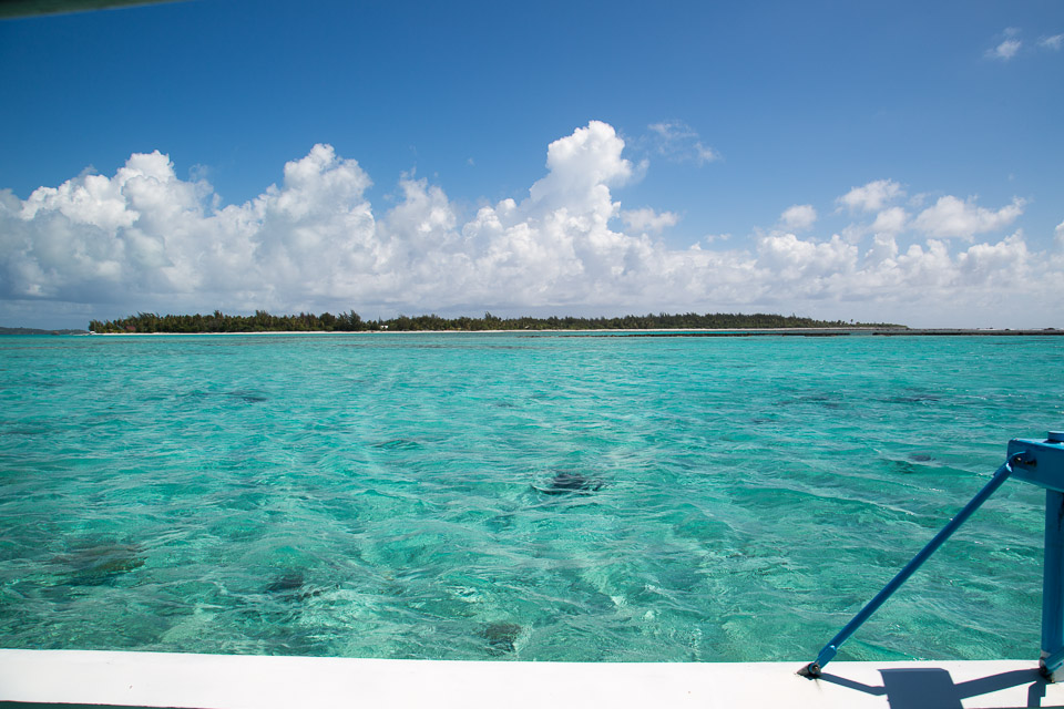 3L9A8100.jpg Iles sous le vent - Bora Bora - Copyright : See Otherwise 2012 - 2024