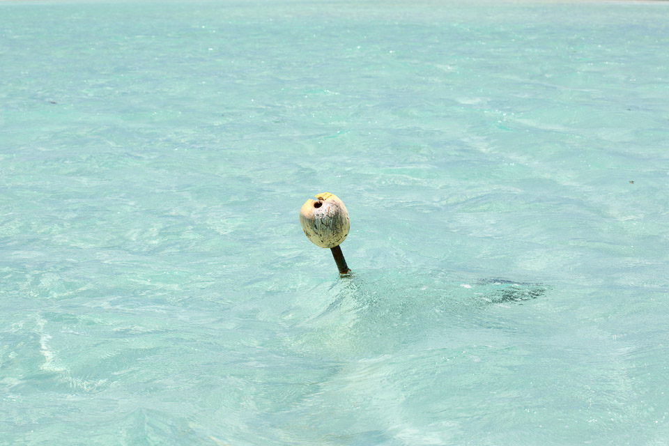 3L9A8147.jpg Iles sous le vent - Bora Bora - Copyright : See Otherwise 2012 - 2024