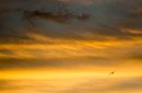 Iles sous le vent - Bora Bora - Copyright : See Otherwise 2012 - 2024