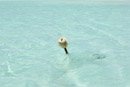 Iles sous le vent - Bora Bora - Copyright : See Otherwise 2012 - 2024