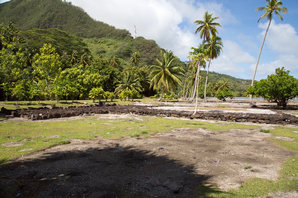 3L9A4731.jpg Iles sous le vent - Huahine - Copyright : See Otherwise 2012 - 2024