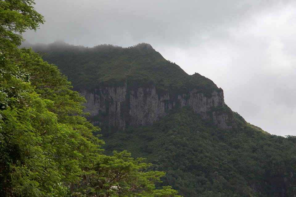 3L9A4815.jpg Iles sous le vent - Huahine - Copyright : See Otherwise 2012 - 2024