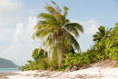 Iles sous le vent - Maupiti - Copyright : See Otherwise 2012 - 2026