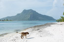 Iles sous le vent - Maupiti - Copyright : See Otherwise 2012 - 2026
