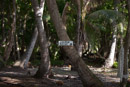 Iles sous le vent - Maupiti - Copyright : See Otherwise 2012 - 2026