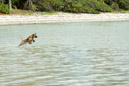 Iles sous le vent - Maupiti - Copyright : See Otherwise 2012 - 2026