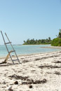Iles sous le vent - Maupiti - Copyright : See Otherwise 2012 - 2026