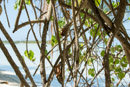Iles sous le vent - Maupiti - Copyright : See Otherwise 2012 - 2026