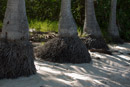 Iles sous le vent - Maupiti - Copyright : See Otherwise 2012 - 2026