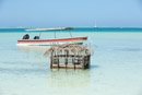 Iles sous le vent - Maupiti - Copyright : See Otherwise 2012 - 2024