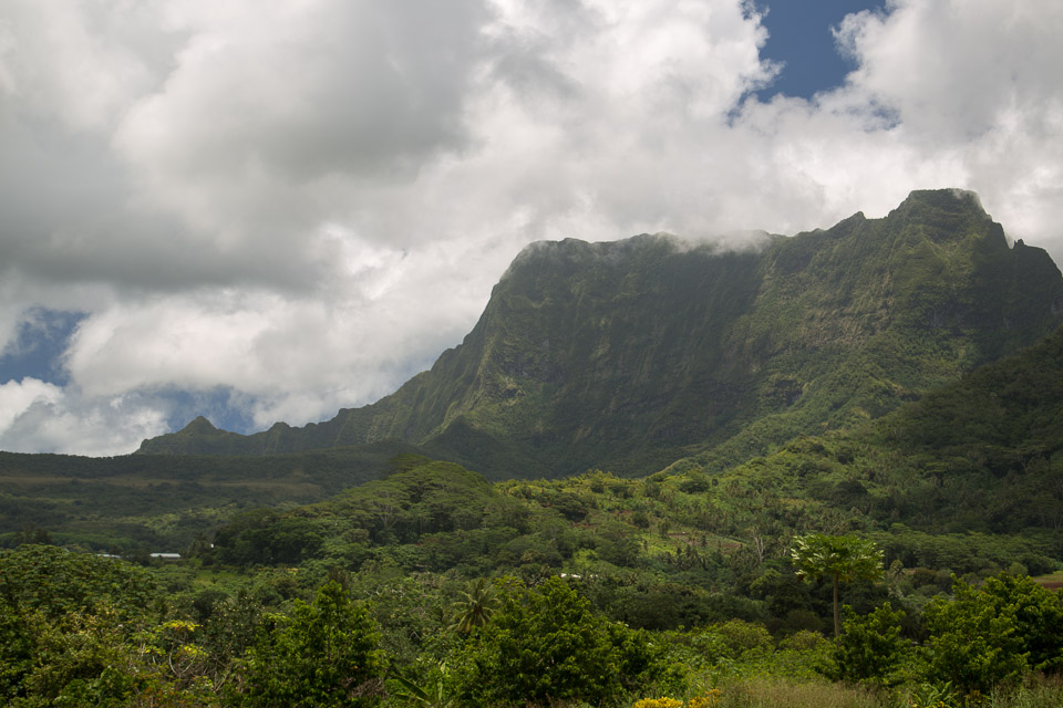 3L9A6016.jpg Iles sous le vent - Raiatea - Copyright : See Otherwise 2012 - 2024