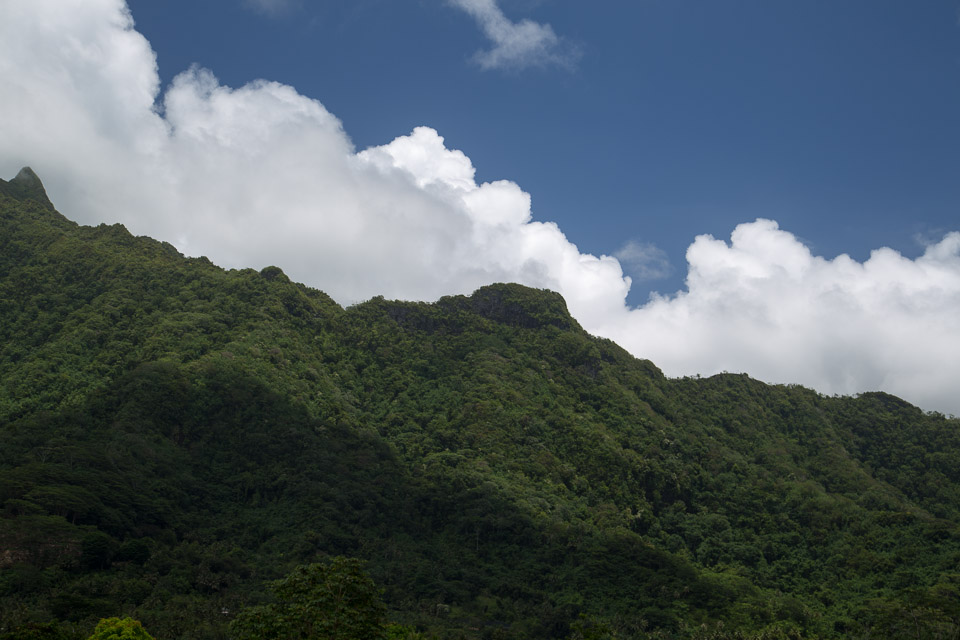 3L9A6025.jpg Iles sous le vent - Raiatea - Copyright : See Otherwise 2012 - 2024