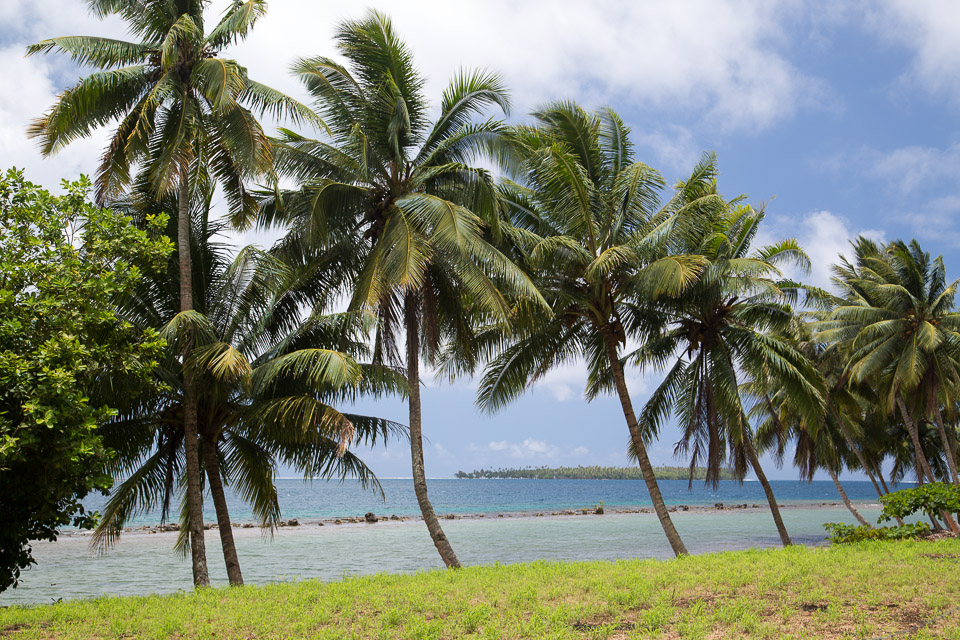 3L9A6034.jpg Iles sous le vent - Raiatea - Copyright : See Otherwise 2012 - 2024