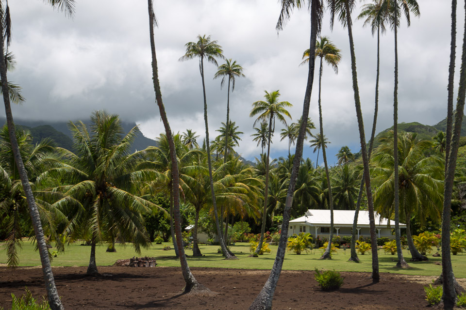 3L9A6043.jpg Iles sous le vent - Raiatea - Copyright : See Otherwise 2012 - 2024