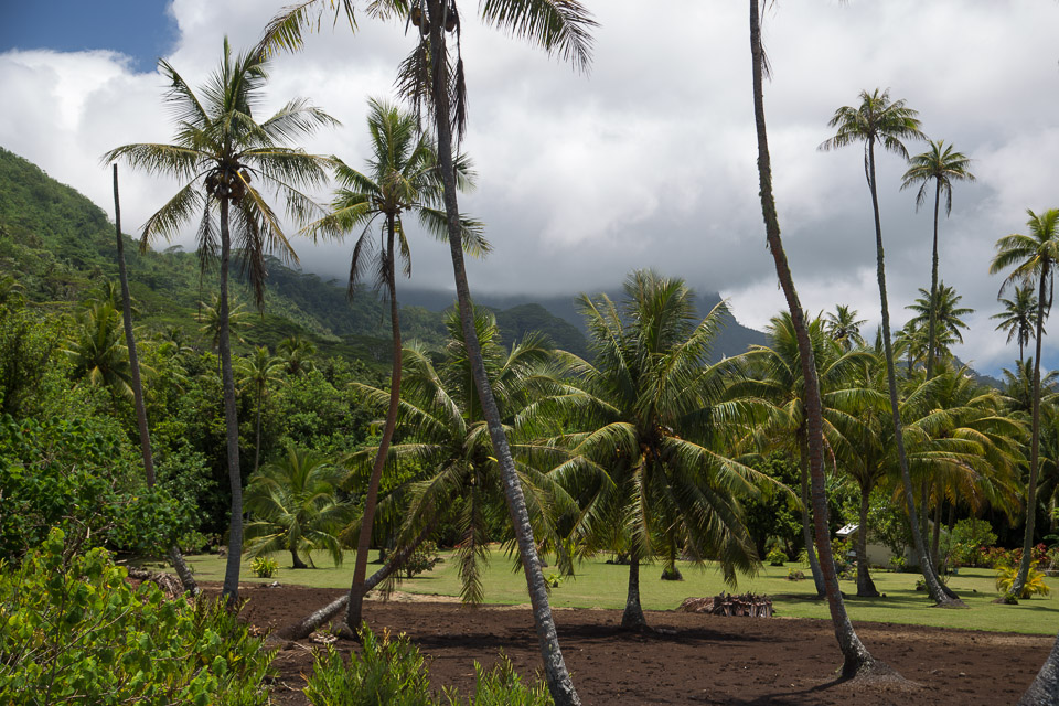 3L9A6044.jpg Iles sous le vent - Raiatea - Copyright : See Otherwise 2012 - 2024