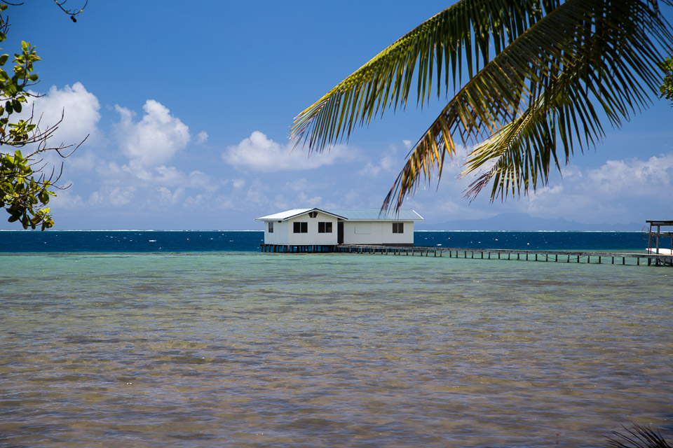 3L9A6047.jpg Iles sous le vent - Raiatea - Copyright : See Otherwise 2012 - 2024