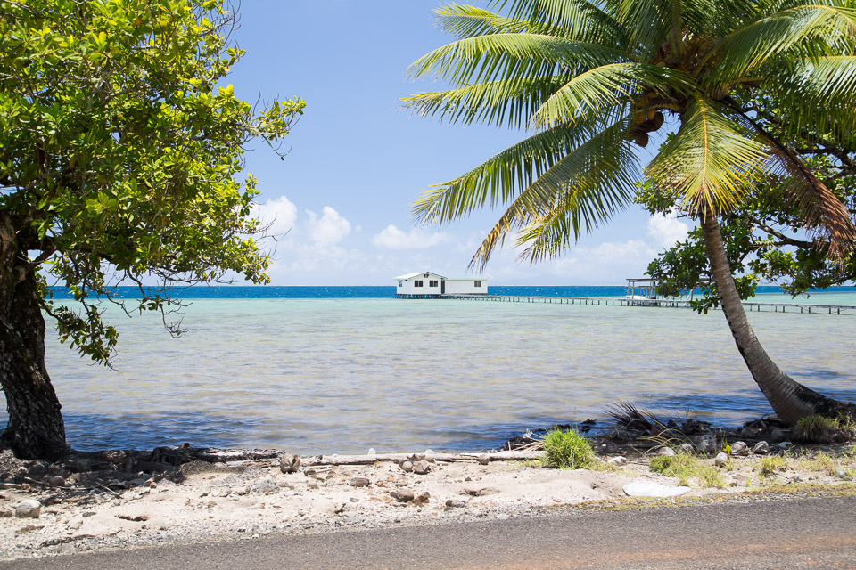 3L9A6049.jpg Iles sous le vent - Raiatea - Copyright : See Otherwise 2012 - 2024