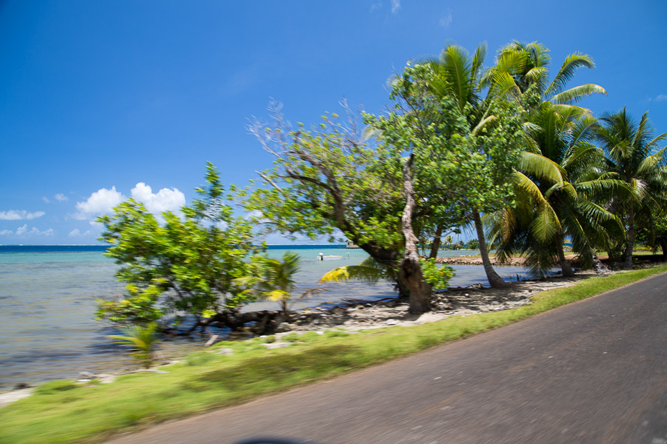 3L9A6059.jpg Iles sous le vent - Raiatea - Copyright : See Otherwise 2012 - 2024