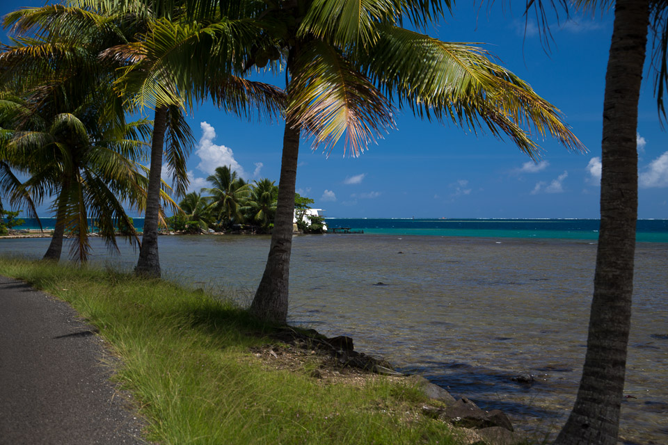 3L9A6067.jpg Iles sous le vent - Raiatea - Copyright : See Otherwise 2012 - 2024