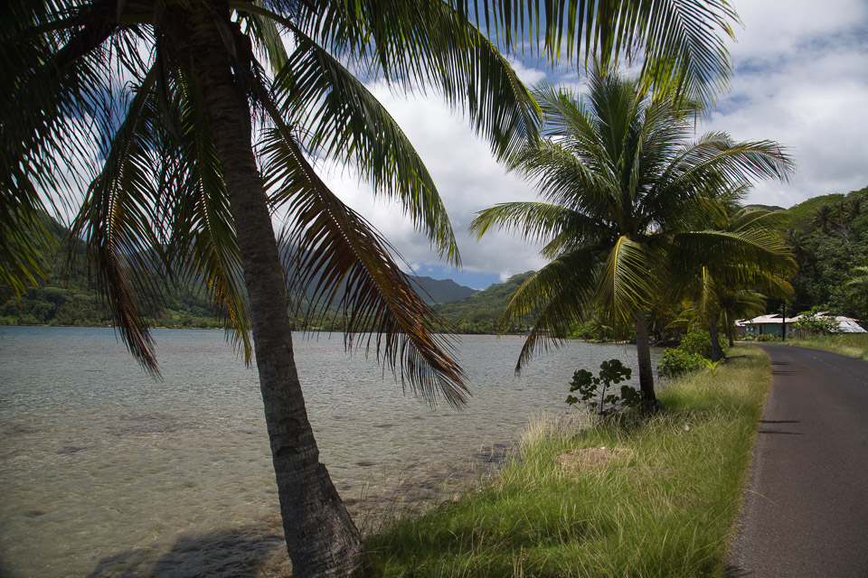 3L9A6069.jpg Iles sous le vent - Raiatea - Copyright : See Otherwise 2012 - 2024