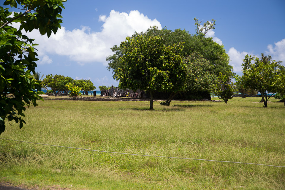 3L9A6081.jpg Iles sous le vent - Raiatea - Copyright : See Otherwise 2012 - 2024