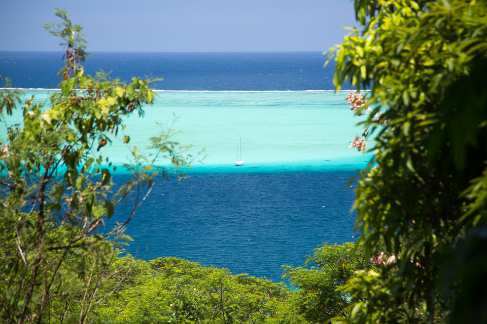 3L9A6094.jpg Iles sous le vent - Raiatea - Copyright : See Otherwise 2012 - 2024