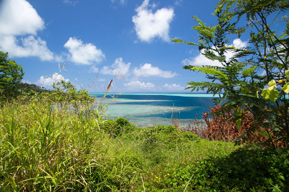 3L9A6109.jpg Iles sous le vent - Raiatea - Copyright : See Otherwise 2012 - 2024