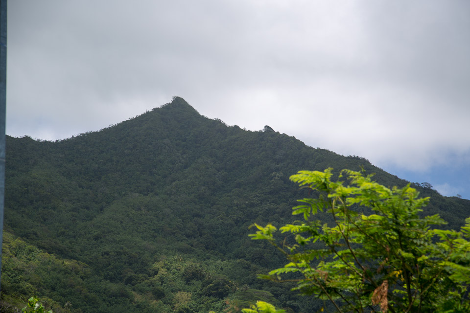 3L9A6134.jpg Iles sous le vent - Raiatea - Copyright : See Otherwise 2012 - 2024