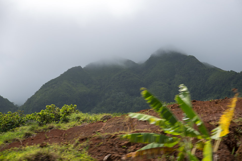 3L9A6155.jpg Iles sous le vent - Raiatea - Copyright : See Otherwise 2012 - 2024