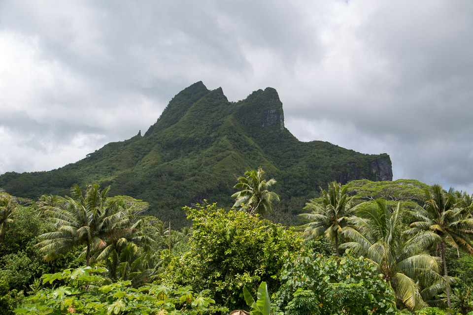 3L9A6278.jpg Iles sous le vent - Raiatea - Copyright : See Otherwise 2012 - 2024