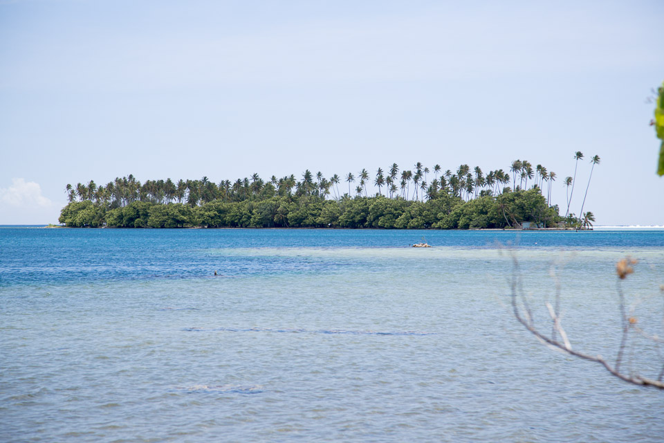 3L9A6291.jpg Iles sous le vent - Raiatea - Copyright : See Otherwise 2012 - 2024