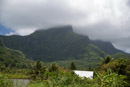 Iles sous le vent - Raiatea - Copyright : See Otherwise 2012 - 2025