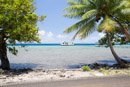 Iles sous le vent - Raiatea - Copyright : See Otherwise 2012 - 2024