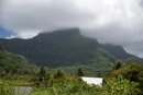 Iles sous le vent - Raiatea - Copyright : See Otherwise 2012 - 2024