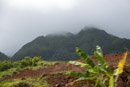 Iles sous le vent - Raiatea - Copyright : See Otherwise 2012 - 2024