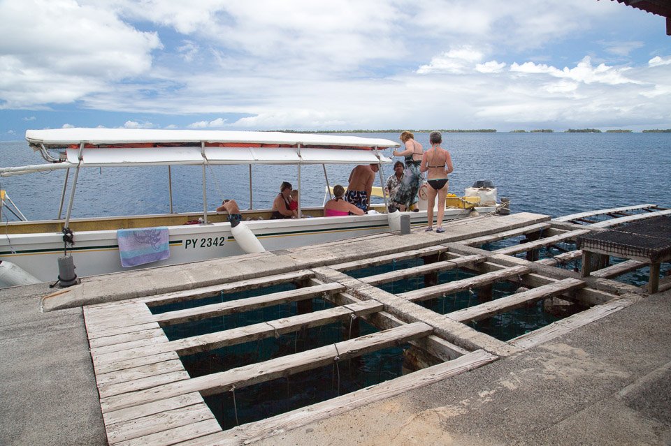 3L9A5474.jpg Iles sous le vent - Tahaa - Copyright : See Otherwise 2012 - 2024