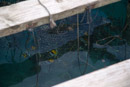 Iles sous le vent - Tahaa - Copyright : See Otherwise 2012 - 2026