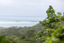 3L9A5591.jpg Iles sous le vent - Tahaa - Copyright : See Otherwise 2012 - 2025