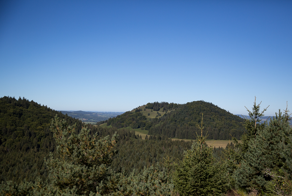 3L9A5522.jpg Le Puy de Lassolas - Copyright : See Otherwise 2012 - 2024