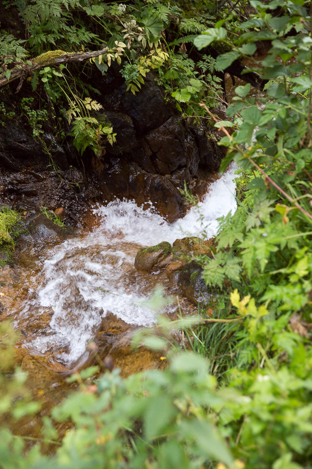 3L9A5025.jpg Le Puy de Sancy - Copyright : See Otherwise 2012 - 2024