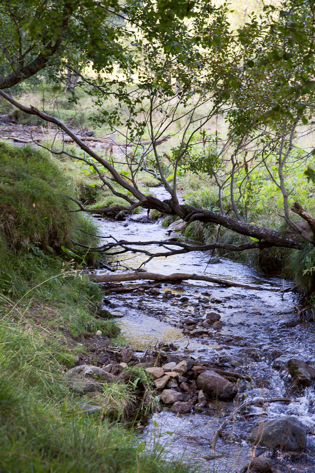 3L9A5049.jpg Le Puy de Sancy - Copyright : See Otherwise 2012 - 2024