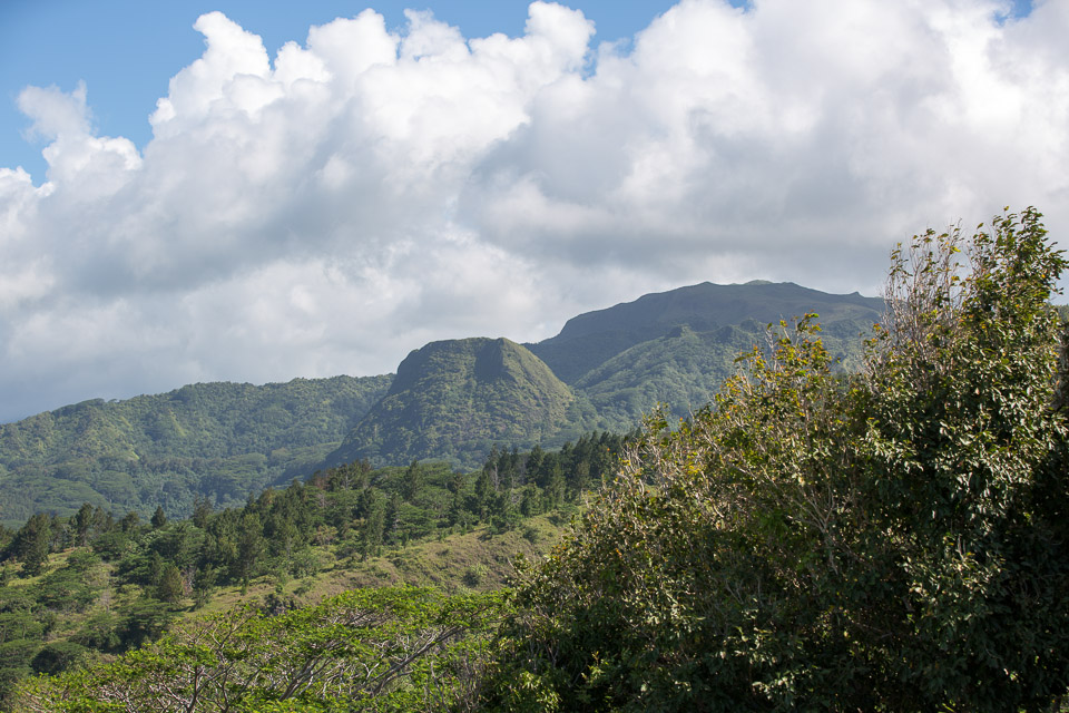 3L9A6470.jpg Le mont Tapioi - Raiatea - Copyright : See Otherwise 2012 - 2024