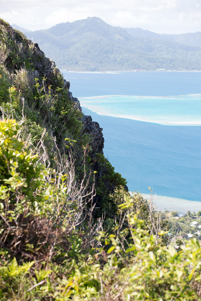 3L9A6508.jpg Le mont Tapioi - Raiatea - Copyright : See Otherwise 2012 - 2024